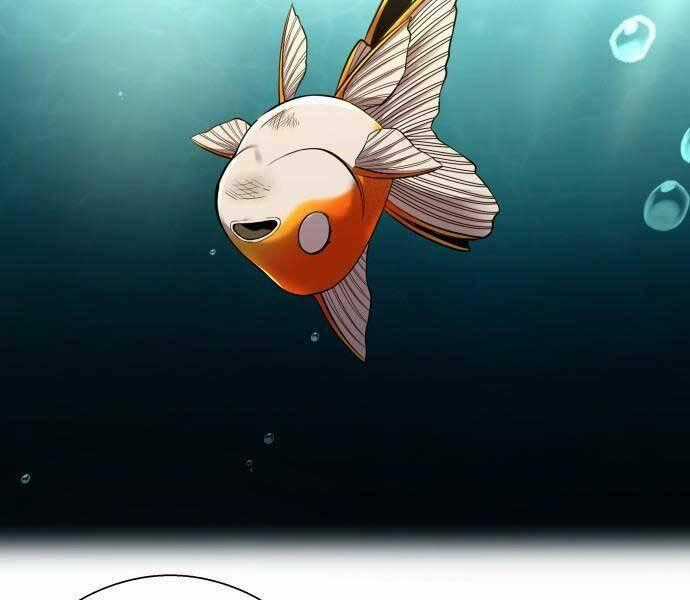 Hoá Thân Thành Cá - Chapter 8 - Trang 2