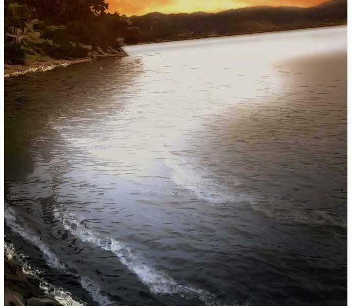 Hoá Thân Thành Cá - Chapter 9 - Trang 2