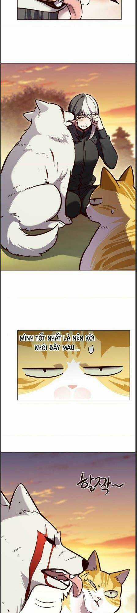 Hoá Thân Thành Mèo - Eleceed - Chapter 162 - Trang 3