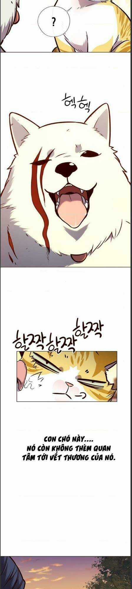 Hoá Thân Thành Mèo - Eleceed - Chapter 162 - Trang 4