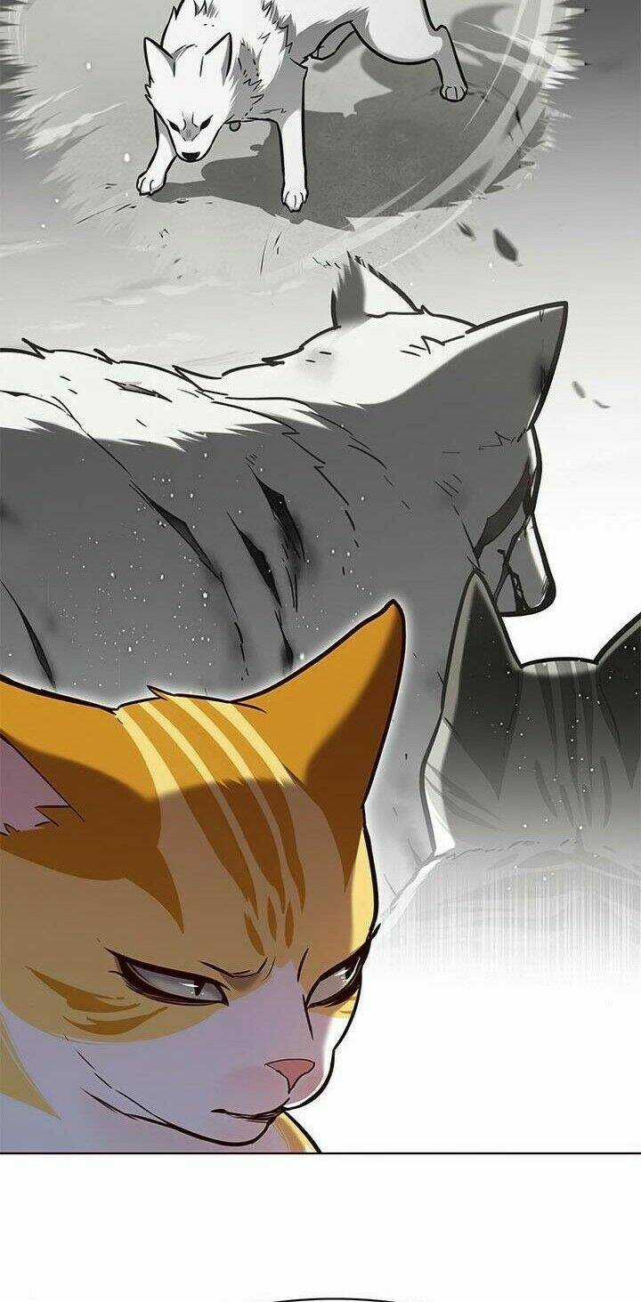 Hoá Thân Thành Mèo - Eleceed - Chapter 165 - Trang 50