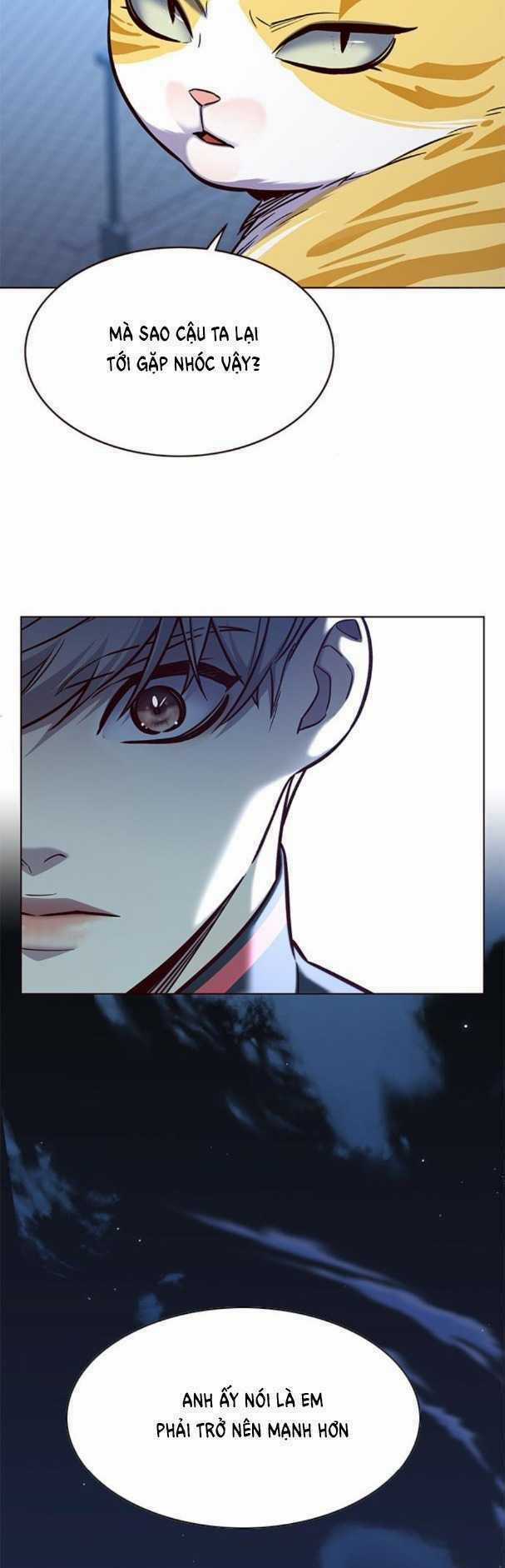 Hoá Thân Thành Mèo - Eleceed - Chapter 169 - Trang 35