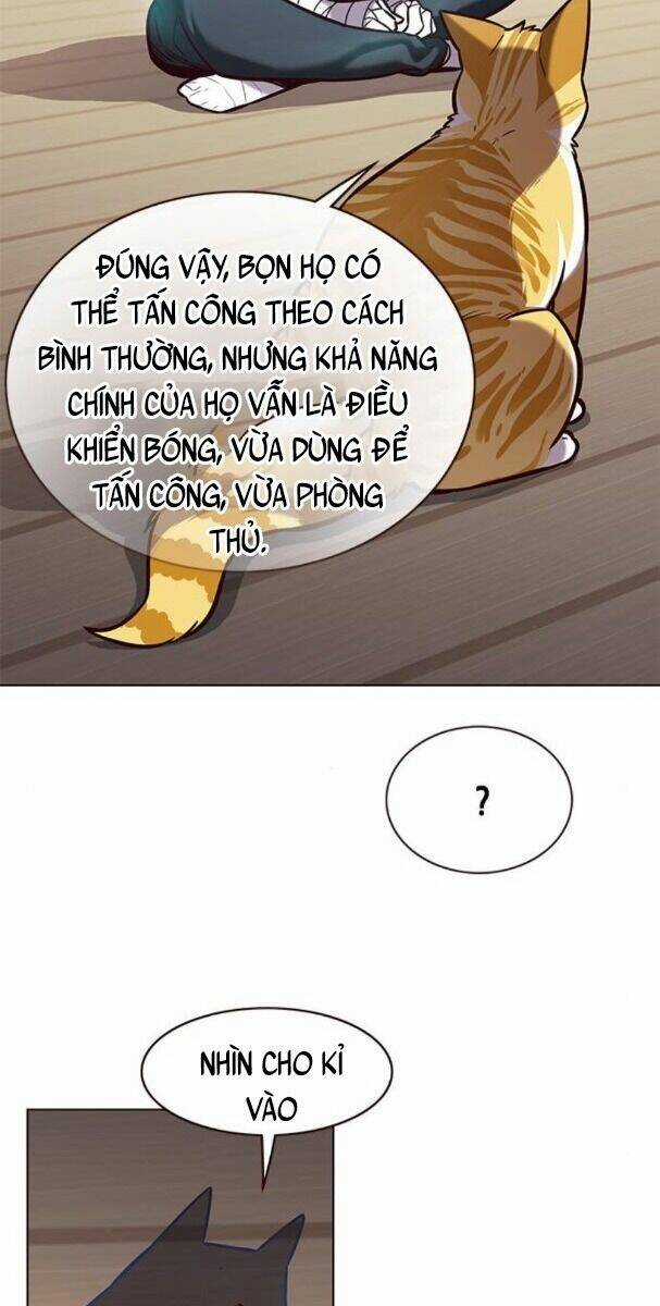 Hoá Thân Thành Mèo - Eleceed - Chapter 174 - Trang 43