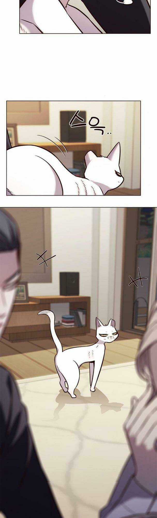 Hoá Thân Thành Mèo - Eleceed - Chapter 178 - Trang 24