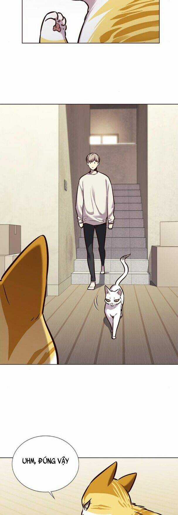 Hoá Thân Thành Mèo - Eleceed - Chapter 180 - Trang 5