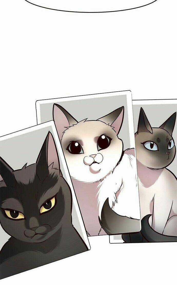 Hoá Thân Thành Mèo - Eleceed - Chapter 199 - Trang 92