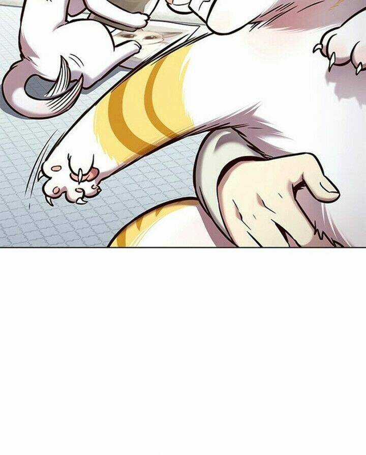 Hoá Thân Thành Mèo - Eleceed - Chapter 200 - Trang 24