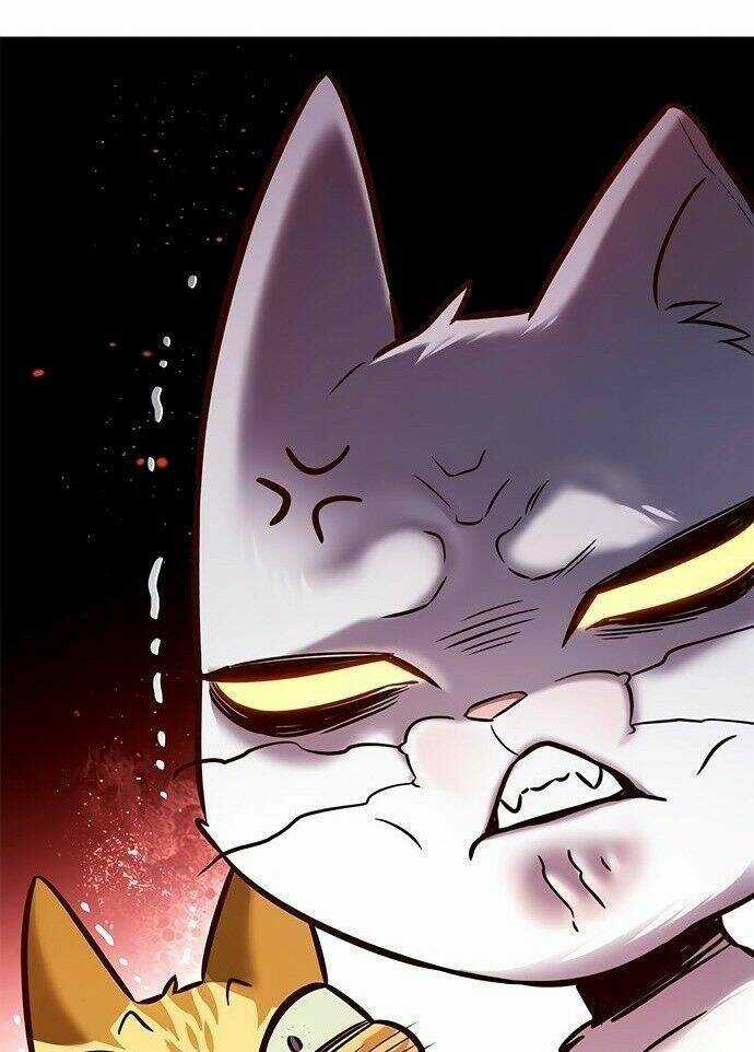 Hoá Thân Thành Mèo - Eleceed - Chapter 201 - Trang 51