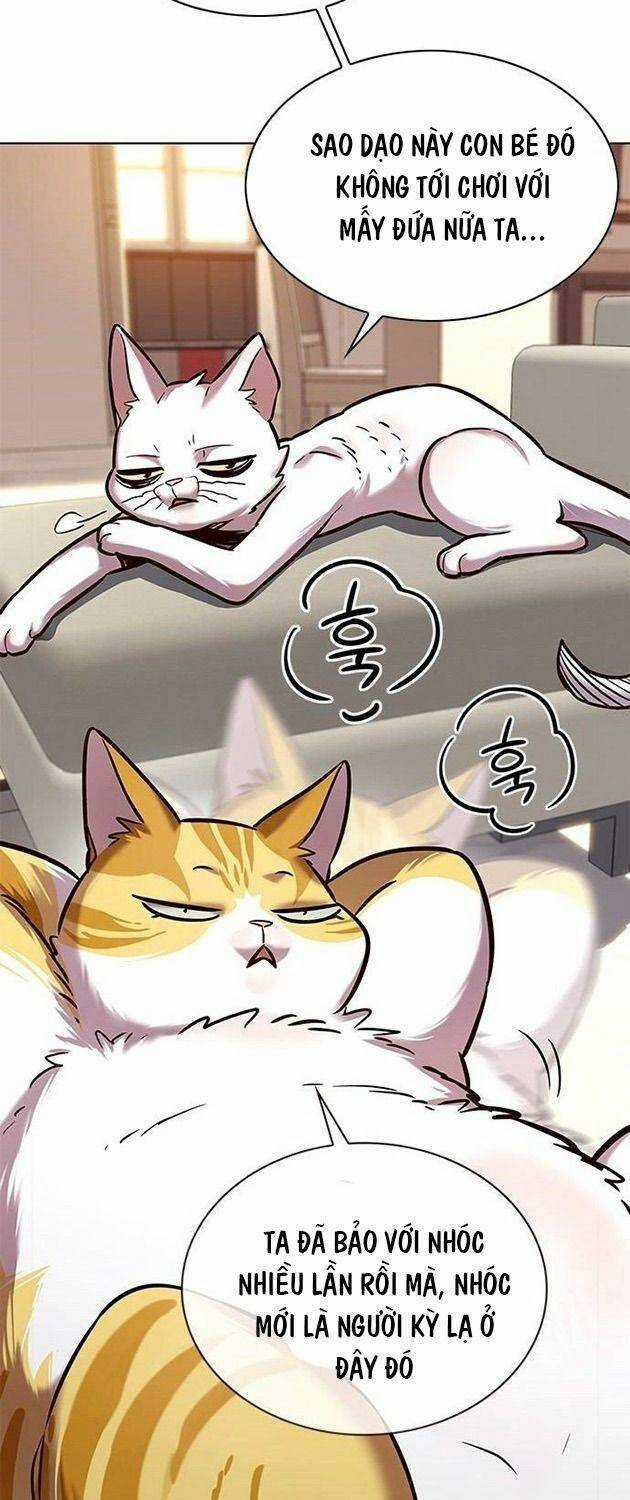 Hoá Thân Thành Mèo - Eleceed - Chapter 225 - Trang 41