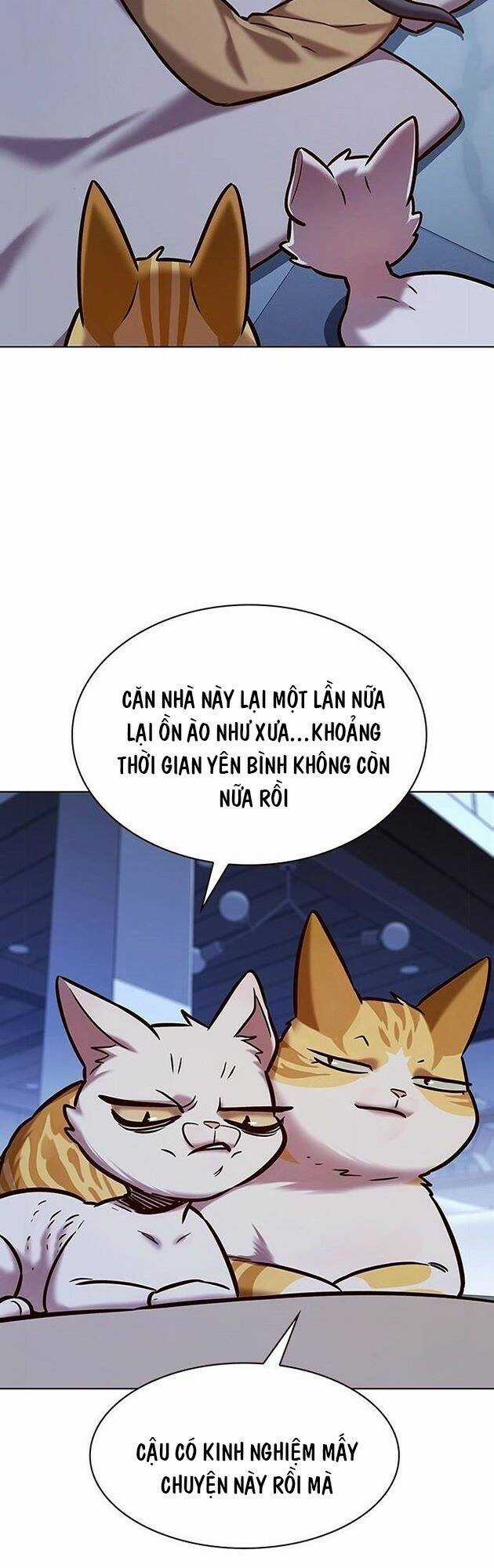 Hoá Thân Thành Mèo - Eleceed - Chapter 229 - Trang 45