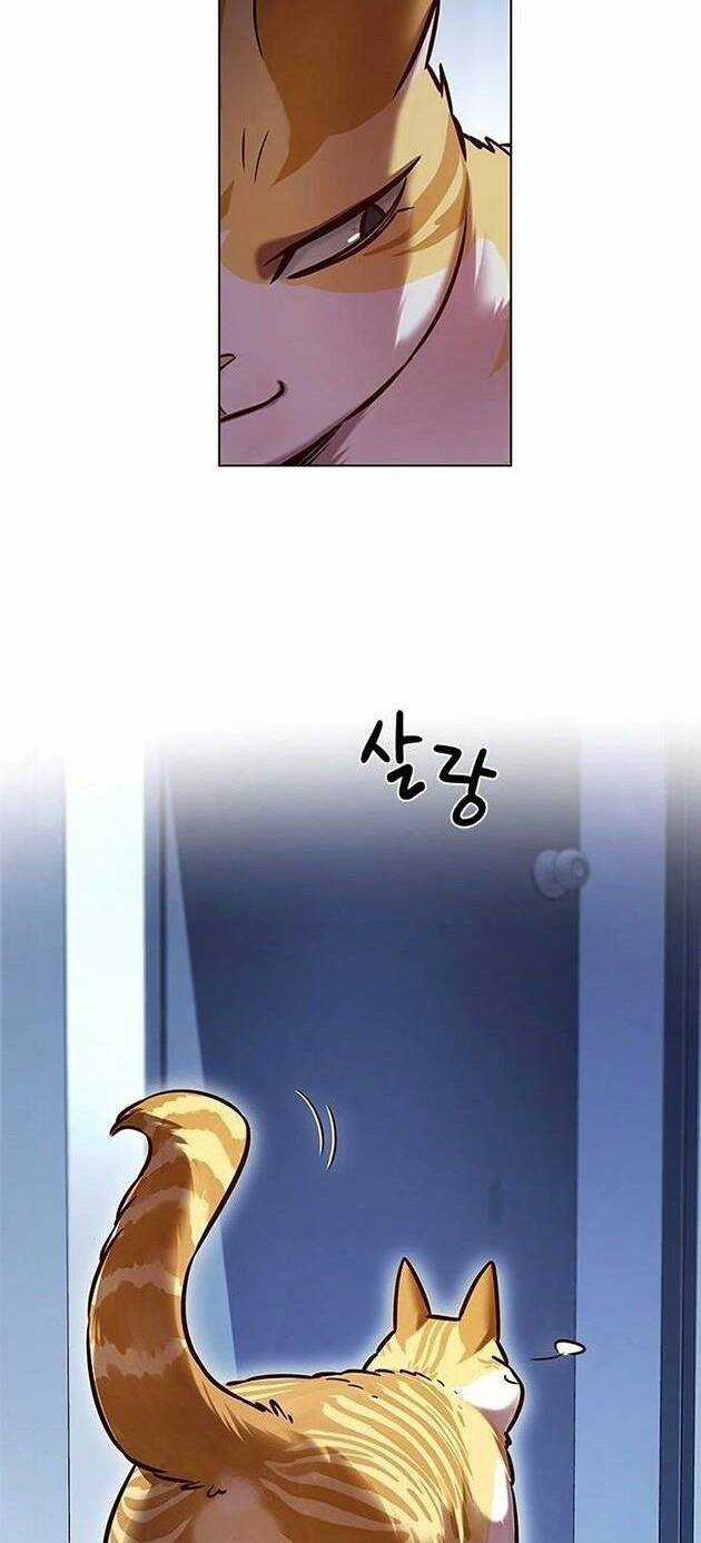 Hoá Thân Thành Mèo - Eleceed - Chapter 229 - Trang 50