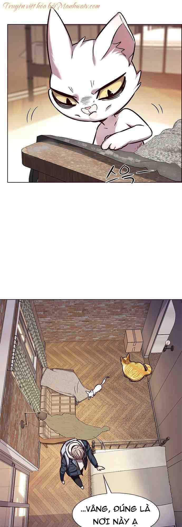 Hoá Thân Thành Mèo - Eleceed - Chapter 231 - Trang 35