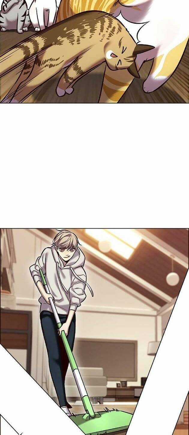 Hoá Thân Thành Mèo - Eleceed - Chapter 239 - Trang 4