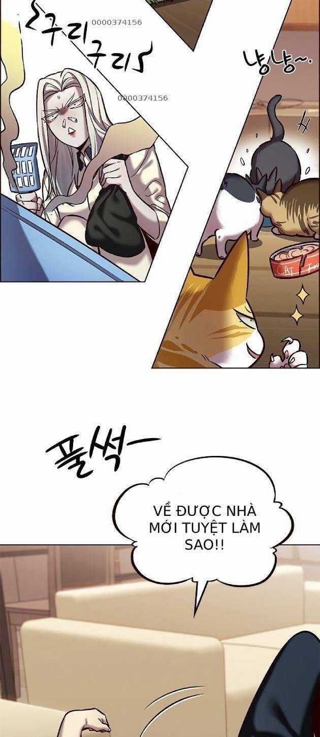 Hoá Thân Thành Mèo - Eleceed - Chapter 239 - Trang 5