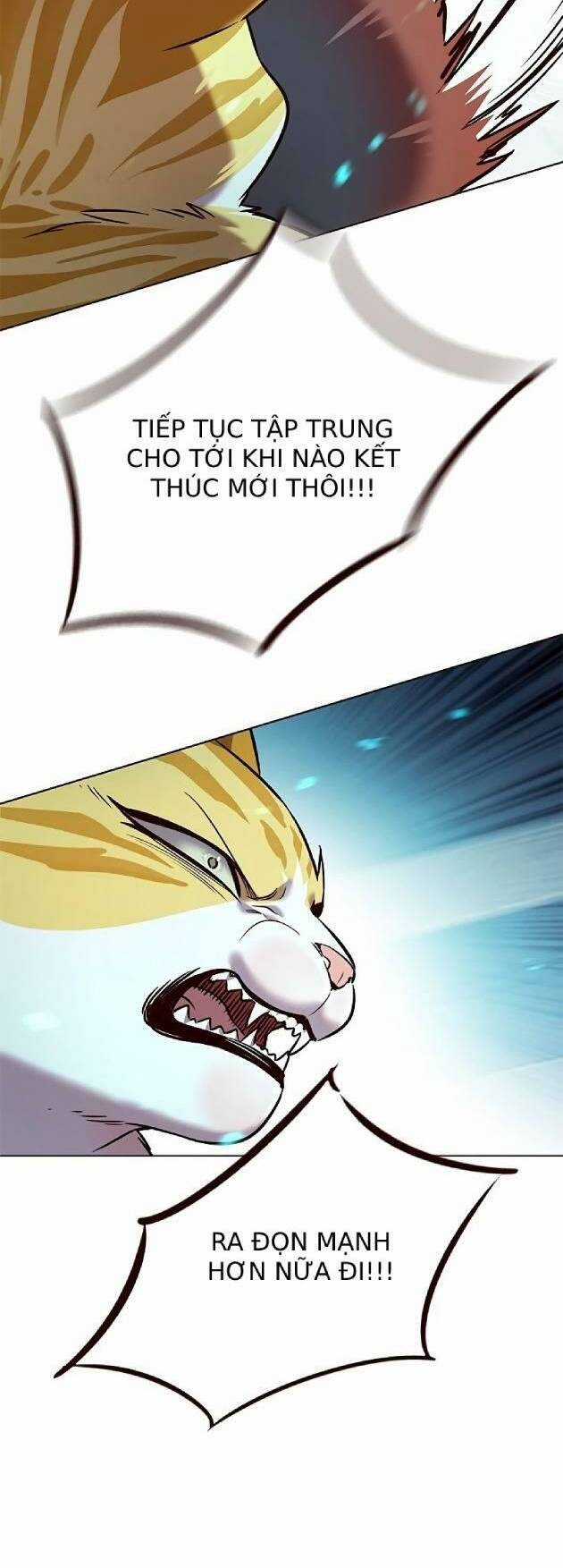 Hoá Thân Thành Mèo - Eleceed - Chapter 241 - Trang 18