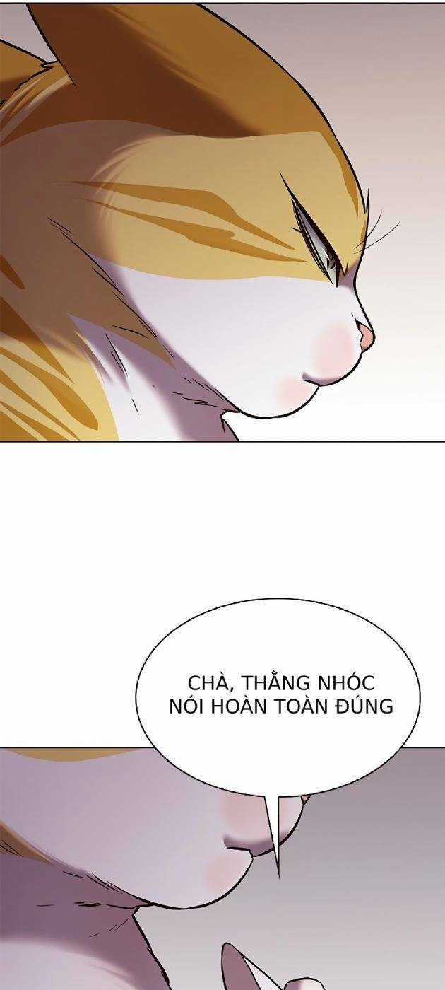 Hoá Thân Thành Mèo - Eleceed - Chapter 241 - Trang 57
