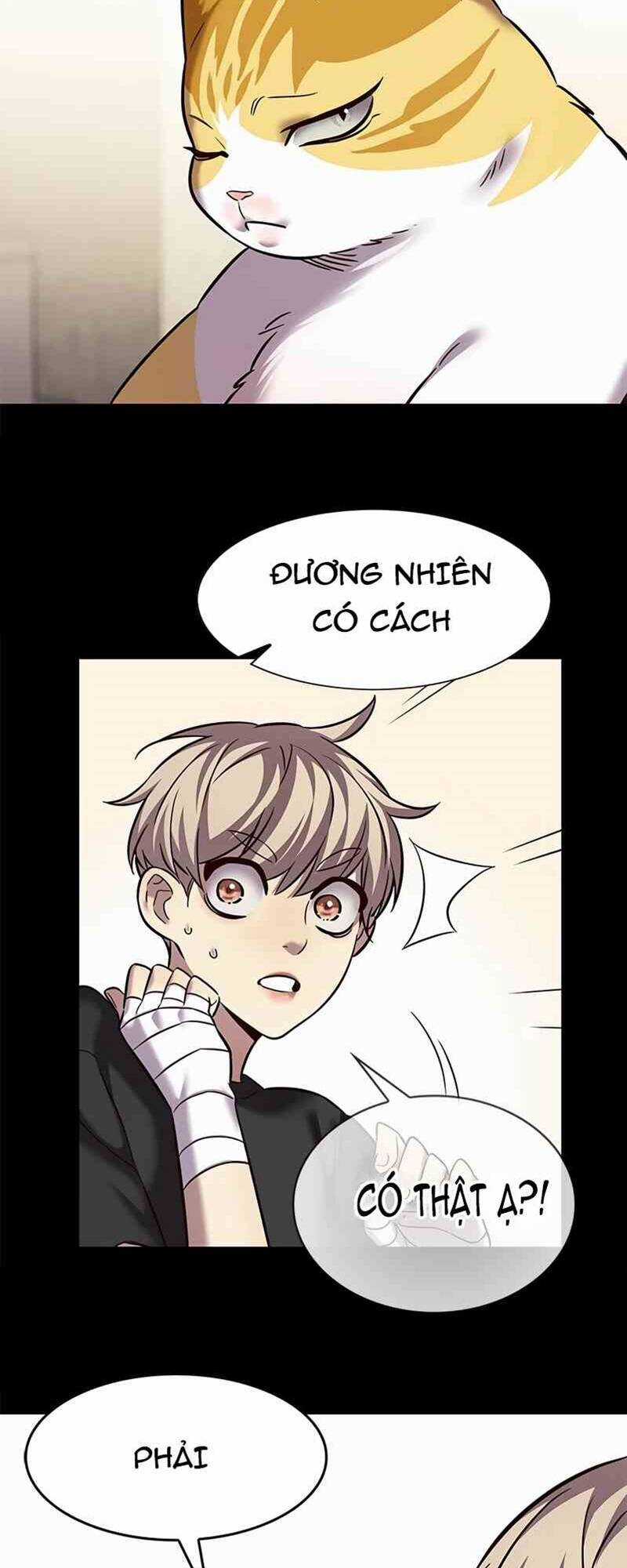 Hoá Thân Thành Mèo - Eleceed - Chapter 244 - Trang 17