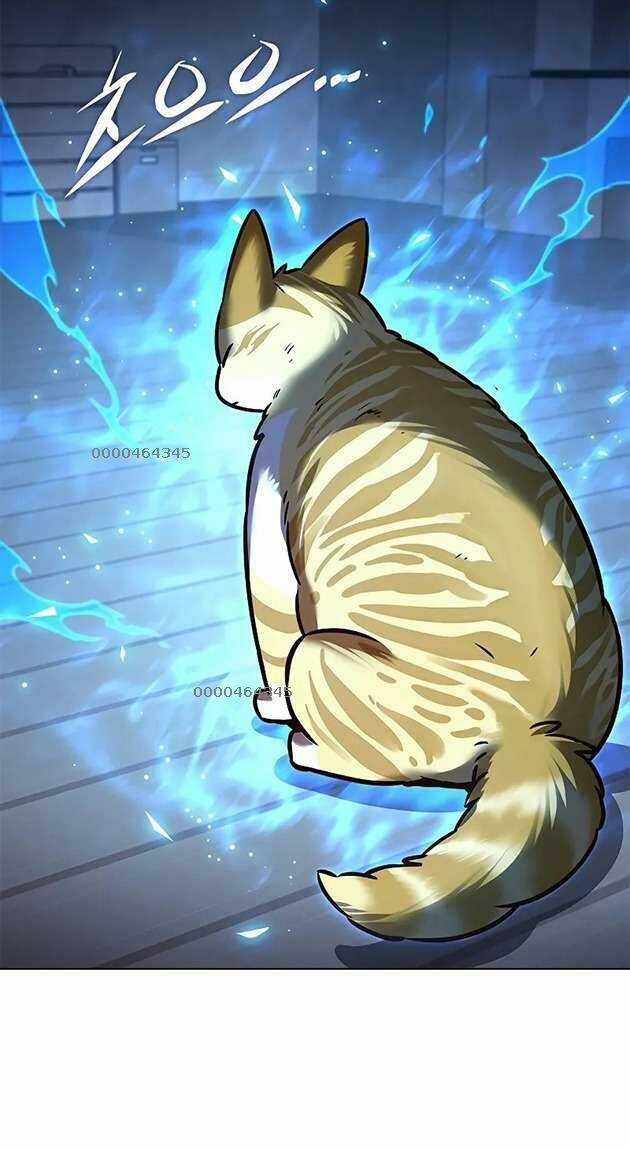 Hoá Thân Thành Mèo - Eleceed - Chapter 267 - Trang 3