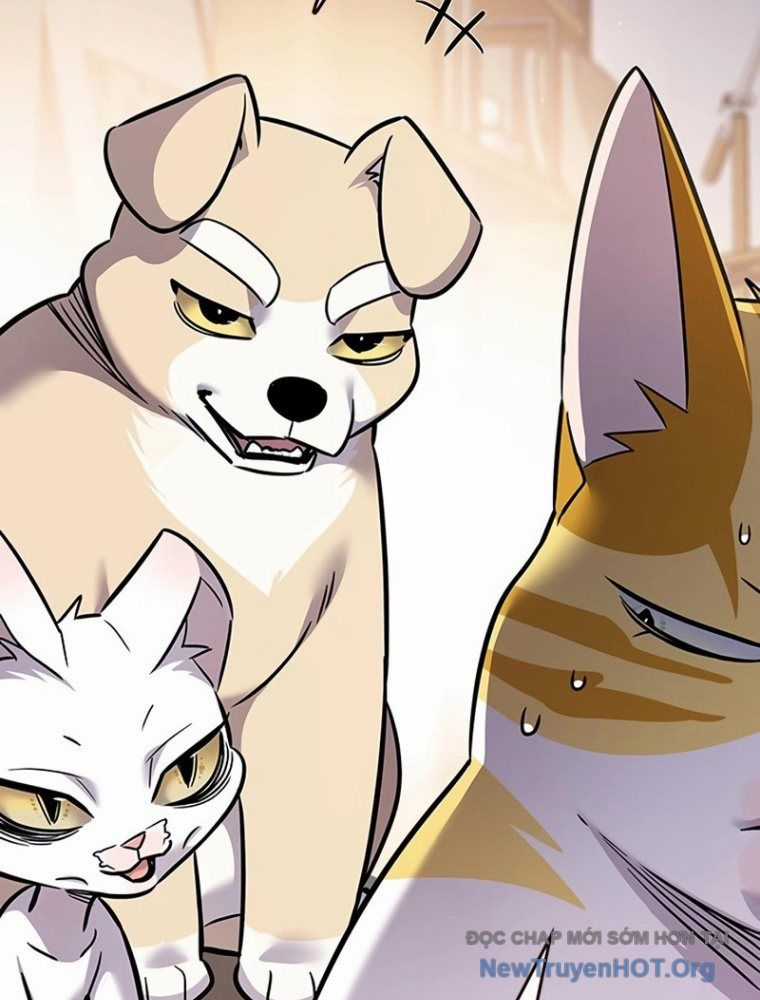 Hoá Thân Thành Mèo - Chapter 363 - Trang 137