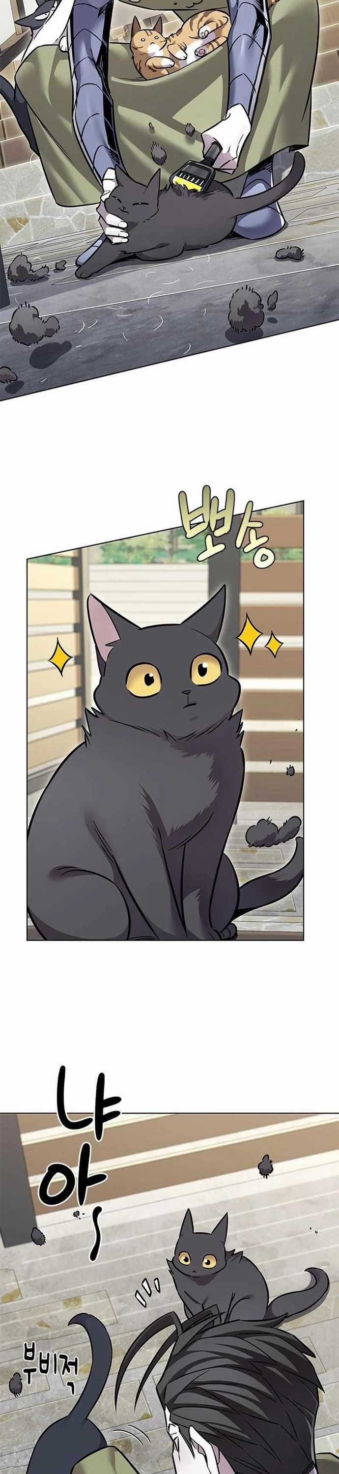 Hoá Thân Thành Mèo - Chapter 365 - Trang 3