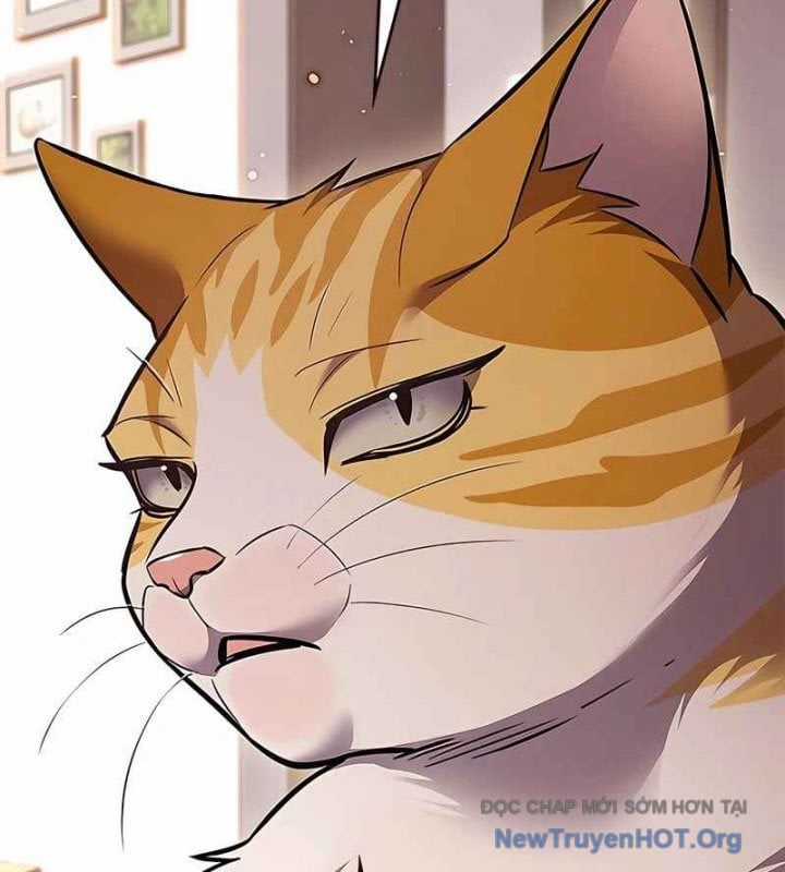 Hoá Thân Thành Mèo - Chapter 370 - Trang 162
