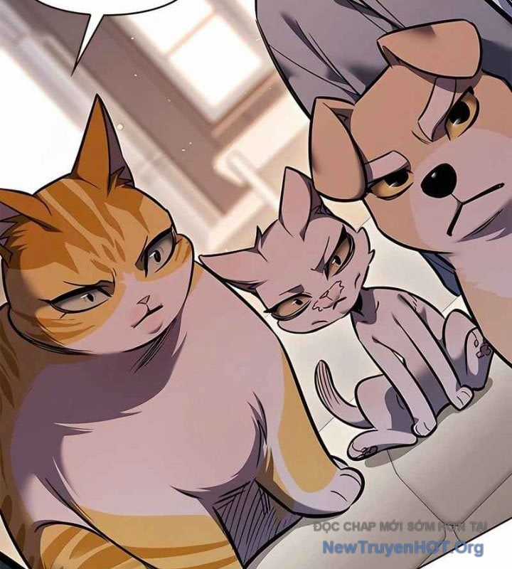 Hoá Thân Thành Mèo - Chapter 370 - Trang 96
