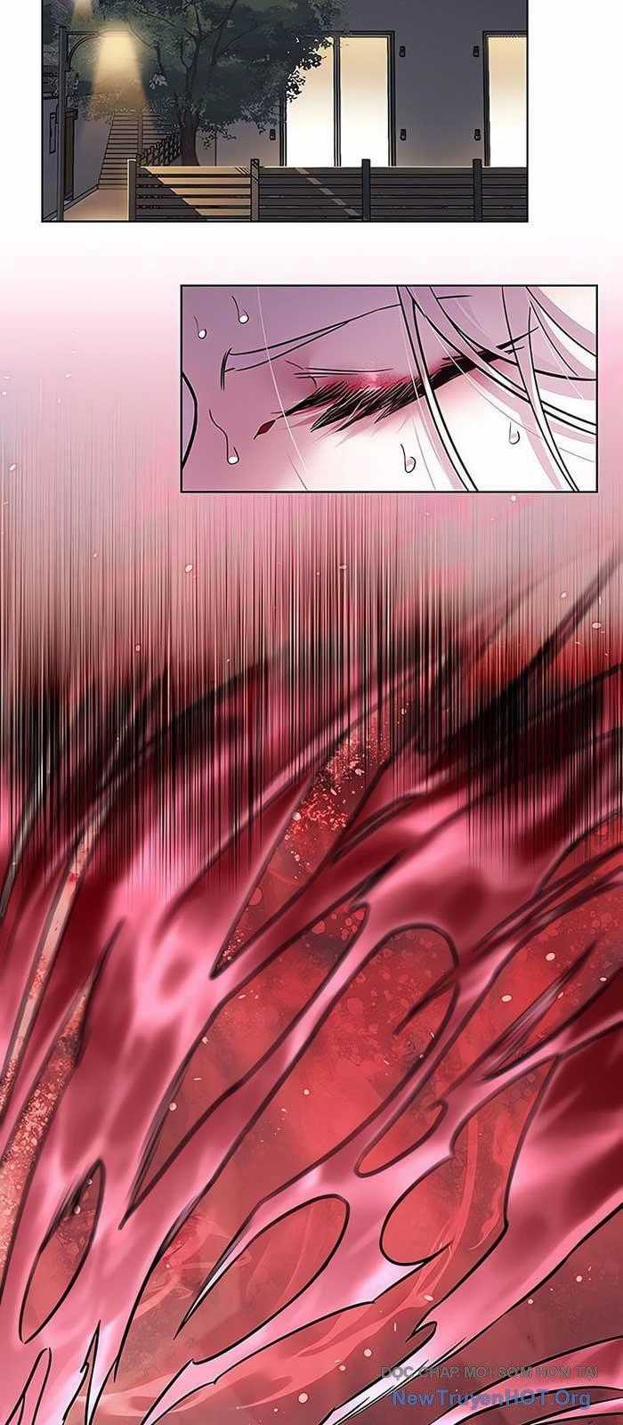 Hoá Thân Thành Mèo - Chapter 375 - Trang 2