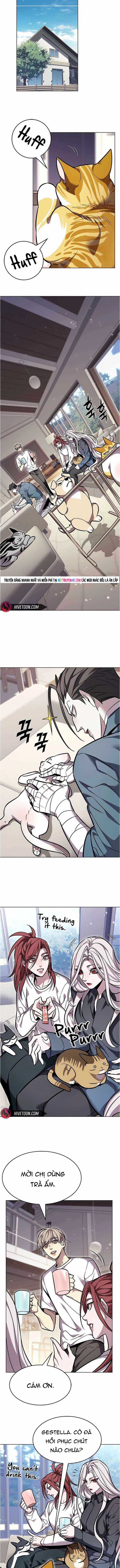 Hoá Thân Thành Mèo - Chapter 376 - Trang 13