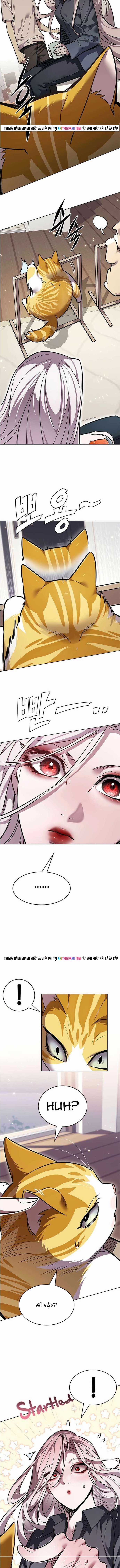 Hoá Thân Thành Mèo - Chapter 376 - Trang 16