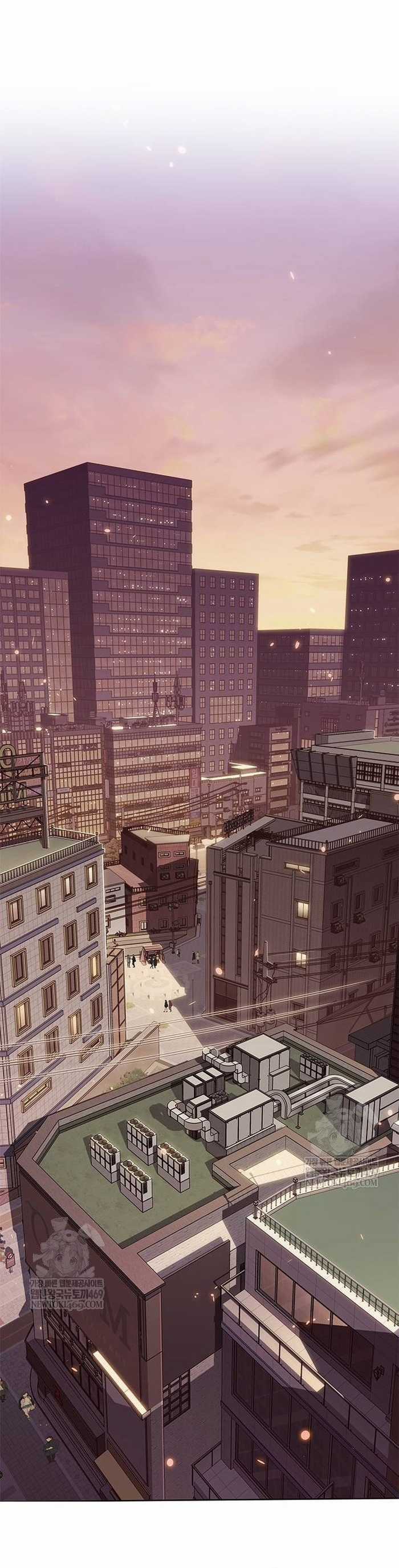 Hoá Thân Thành Mèo - Chapter 377 - Trang 13