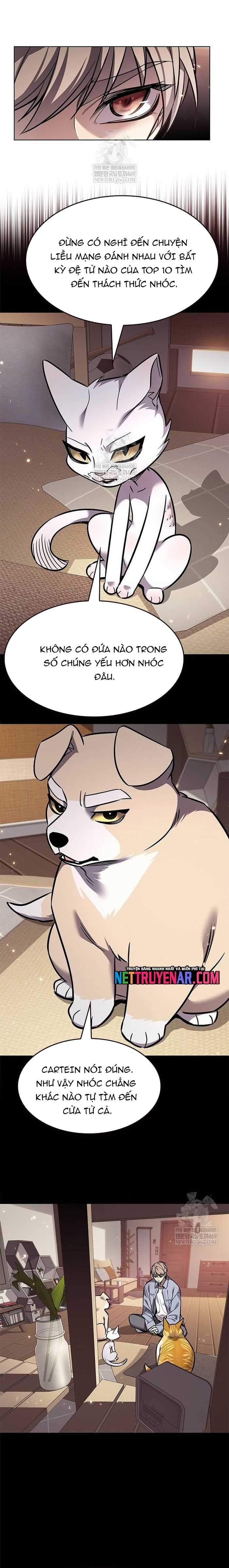 Hoá Thân Thành Mèo - Chapter 377 - Trang 29