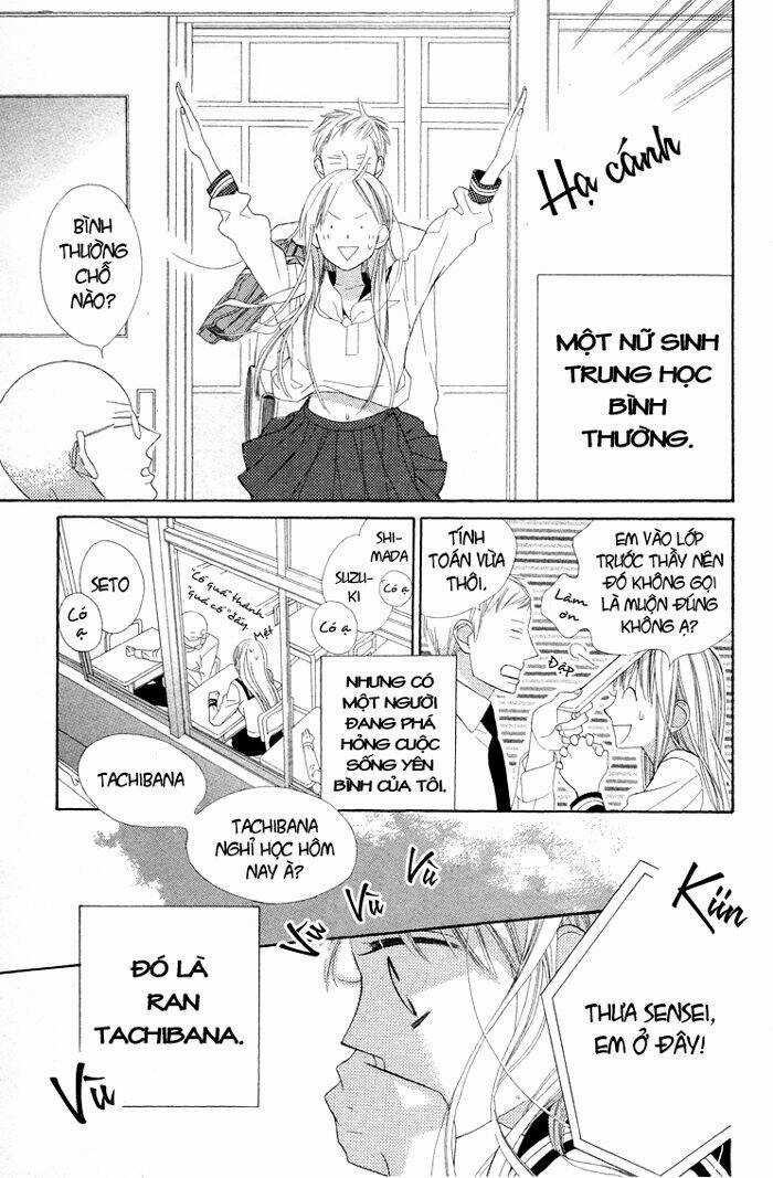 Hoa Trong Bão - Chapter 3 - Trang 4