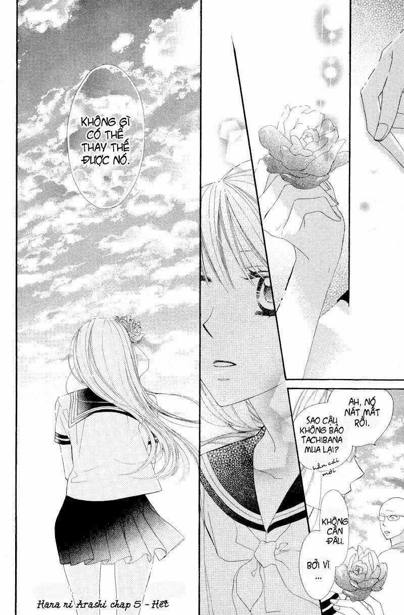Hoa Trong Bão - Chapter 5 - Trang 32