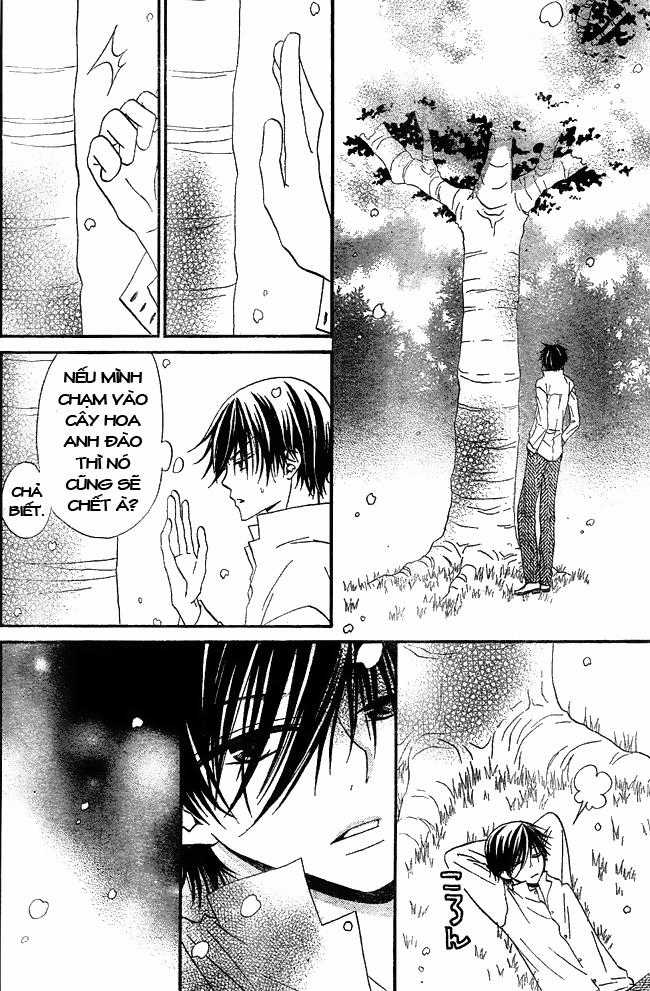 Hoa Và Ác Ma - Chapter 33 - Trang 22