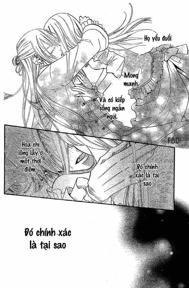 Hoa Và Ác Ma - Chapter 48 - Trang 18