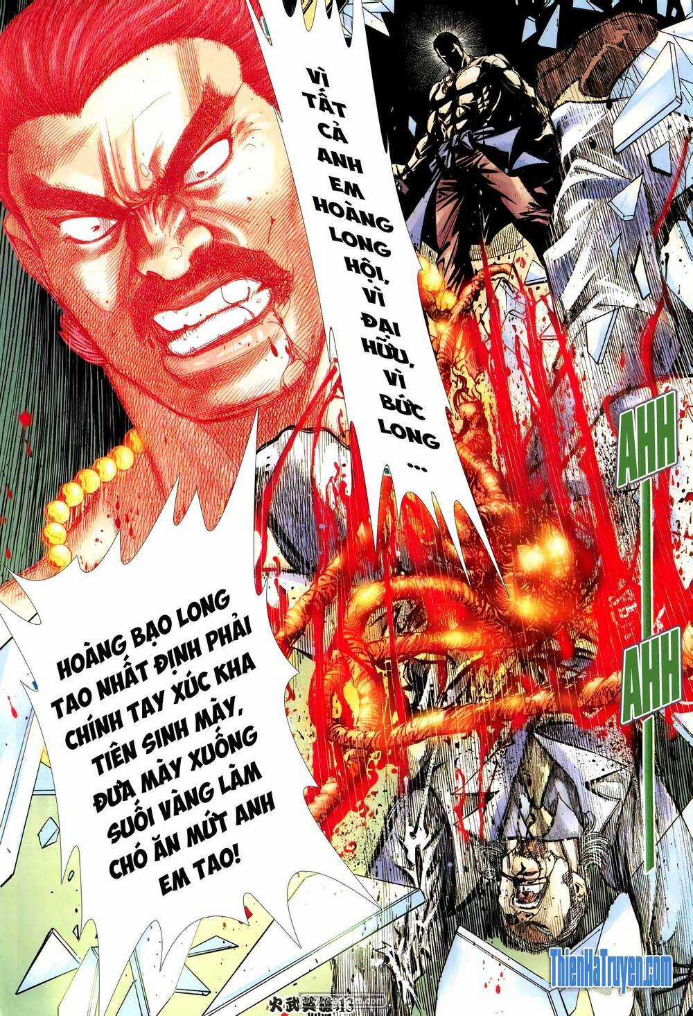 Hỏa Võ Anh Hùng - Chapter 209 - Trang 12