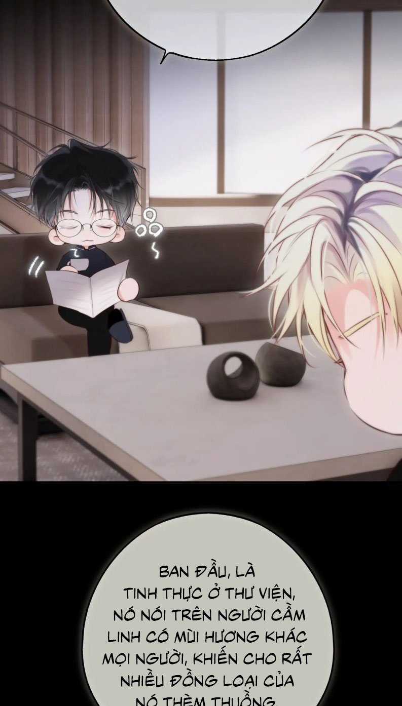 Hoặc Tinh Chi Mục - Chapter 12 - Trang 48
