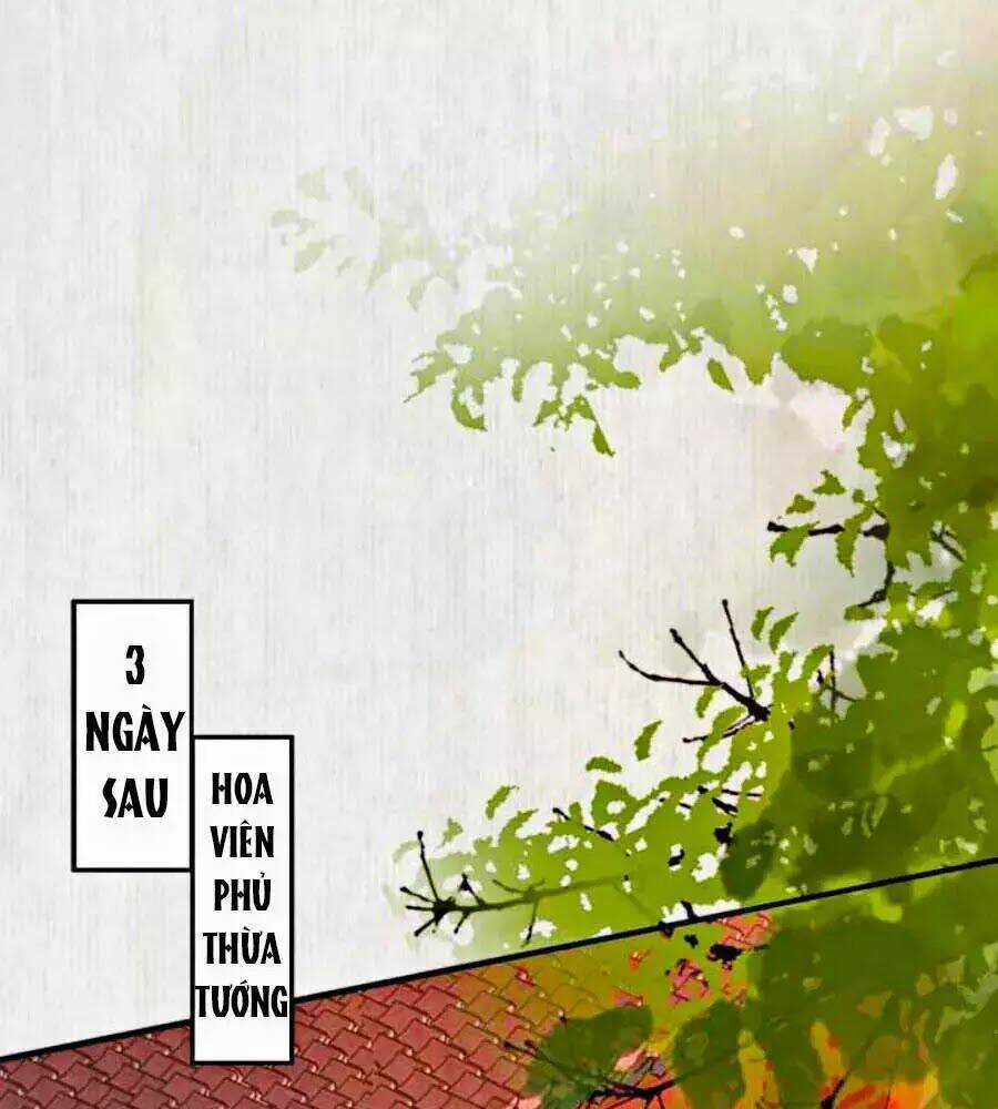 Hoạn Phi Hoàn Triều - Chapter 23 - Trang 41