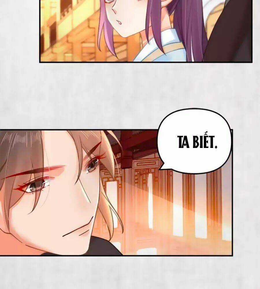 Hoạn Phi Hoàn Triều - Chapter 40 - Trang 3