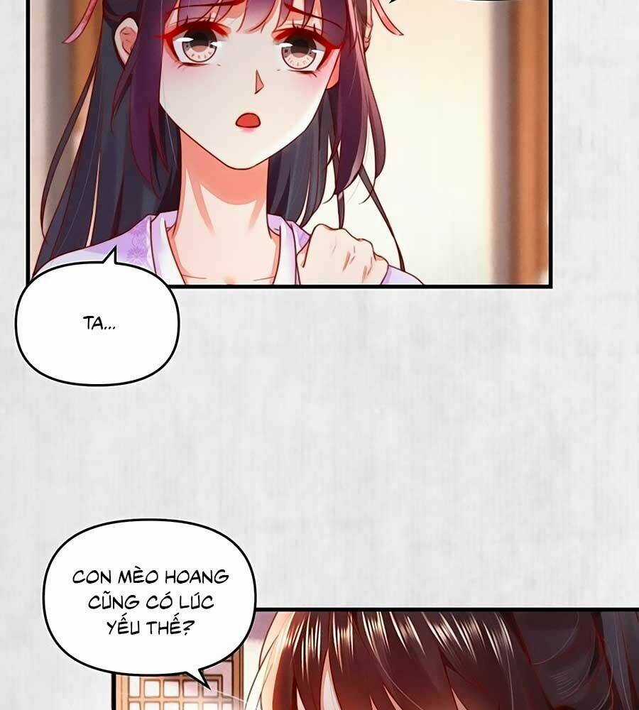 Hoạn Phi Hoàn Triều - Chapter 90 - Trang 45