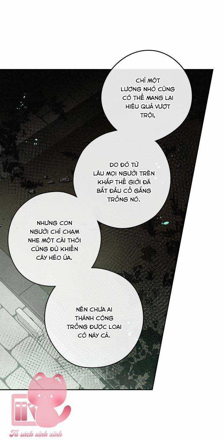 Hoàng Nữ Tóc Đen - Chapter 49 - Trang 13