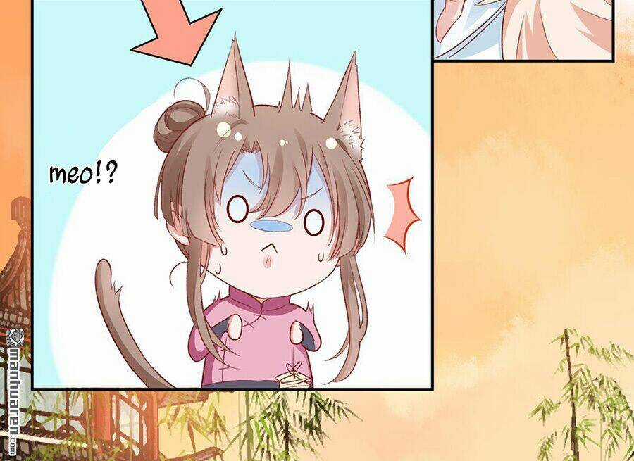 Hoàng Phi 9000 Tuổi - Chapter 10 - Trang 12