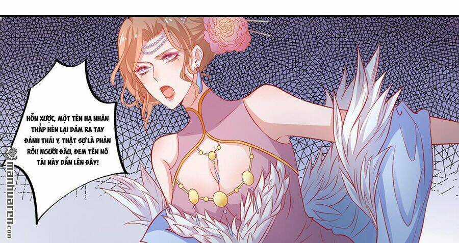 Hoàng Phi 9000 Tuổi - Chapter 11 - Trang 10