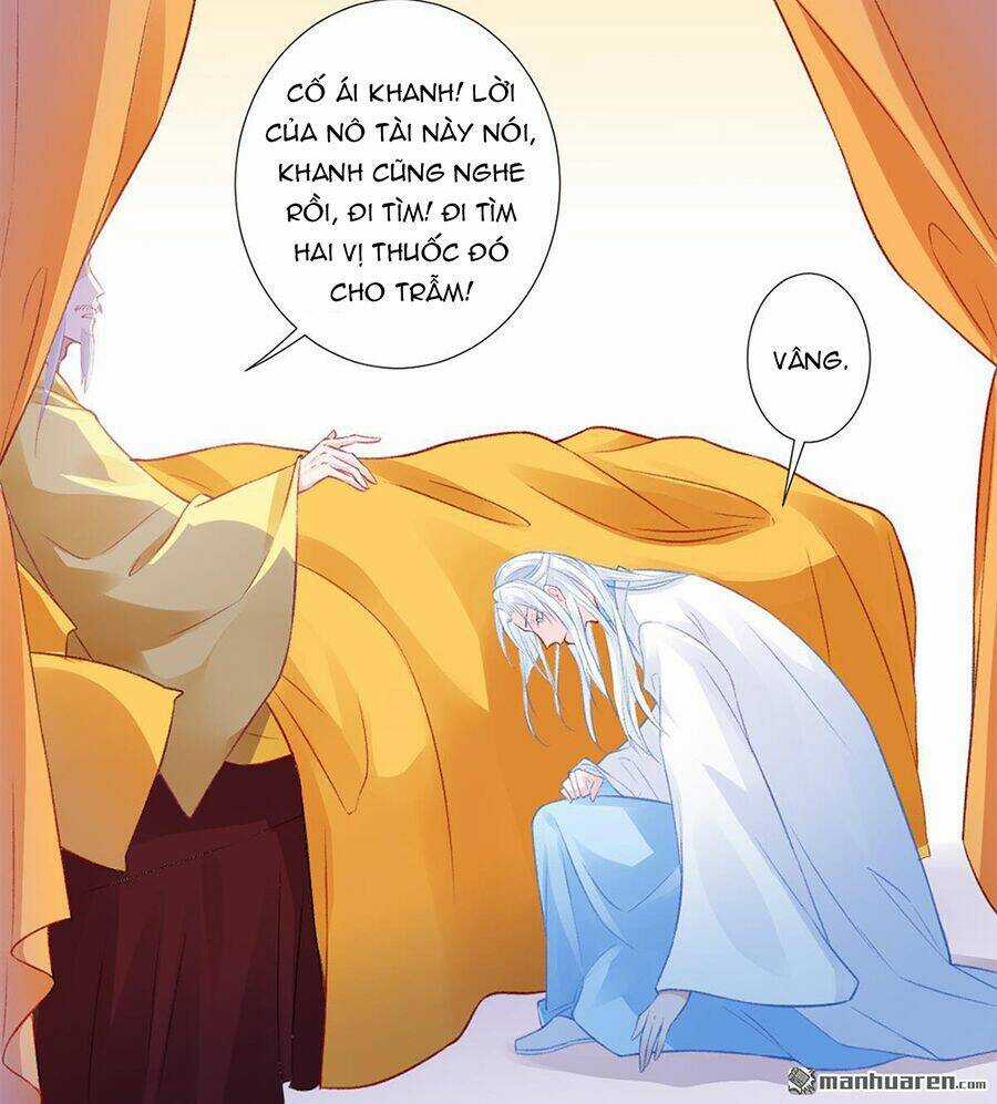 Hoàng Phi 9000 Tuổi - Chapter 13 - Trang 12