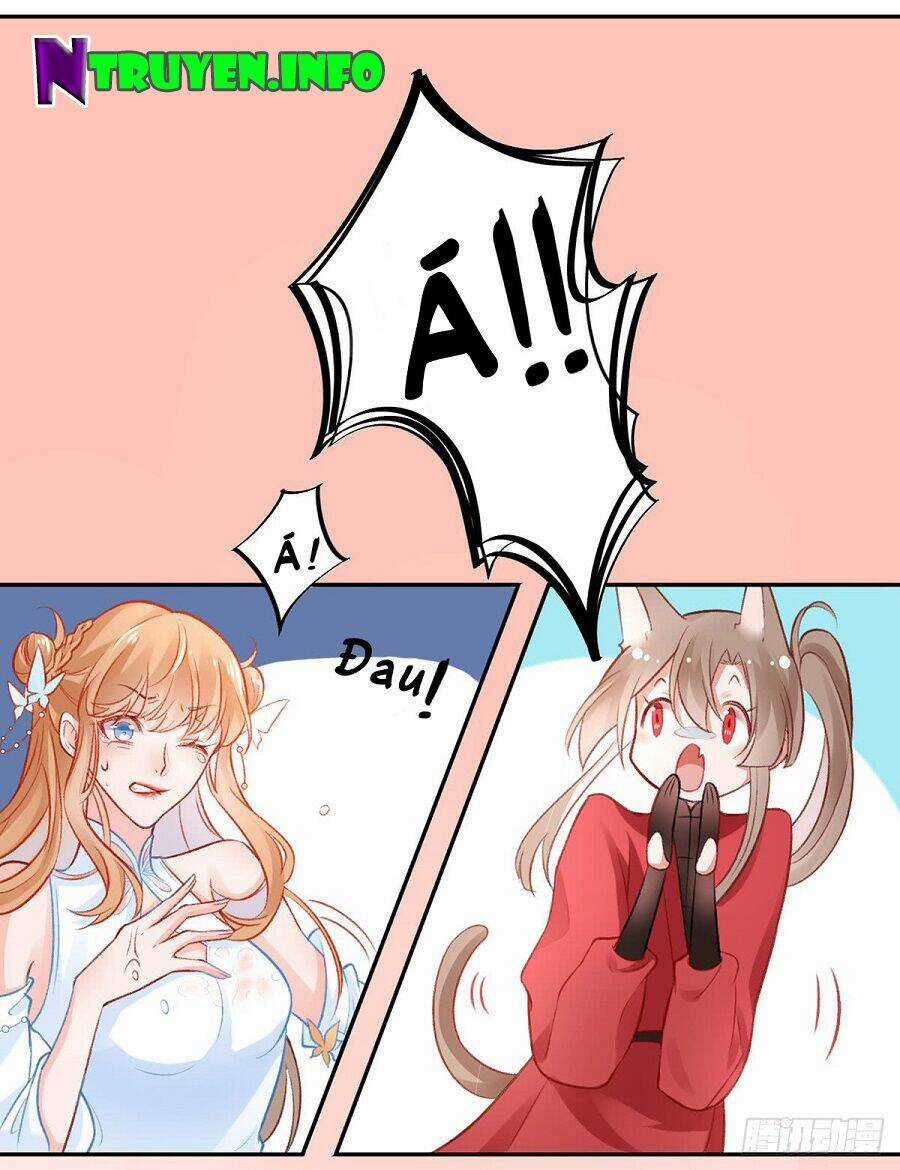 Hoàng Phi 9000 Tuổi - Chapter 15 - Trang 14