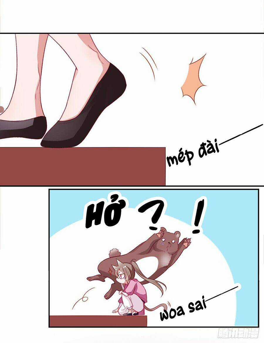 Hoàng Phi 9000 Tuổi - Chapter 17 - Trang 14