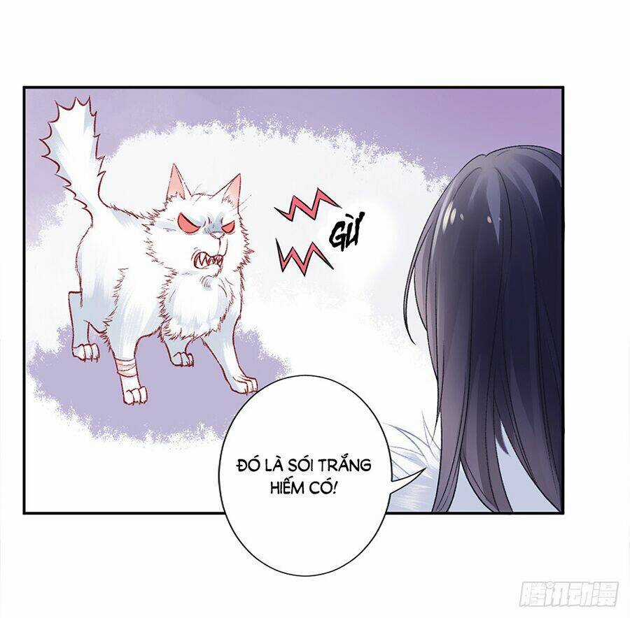 Hoàng Phi 9000 Tuổi - Chapter 19 - Trang 17