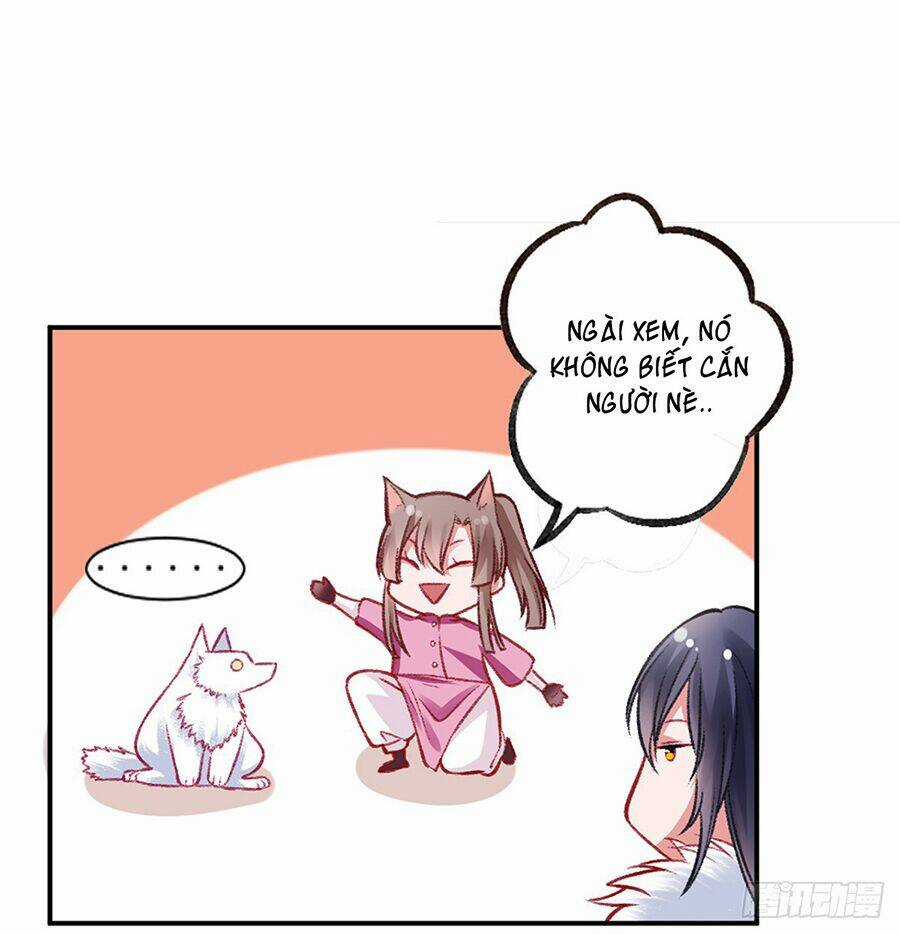 Hoàng Phi 9000 Tuổi - Chapter 19 - Trang 21