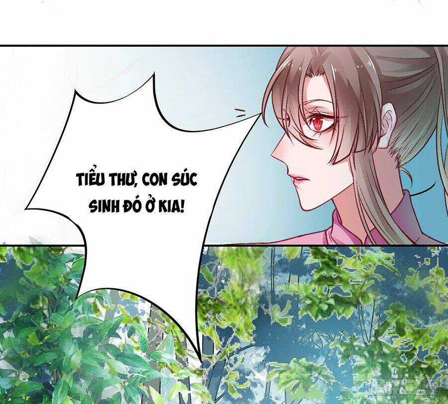 Hoàng Phi 9000 Tuổi - Chapter 19 - Trang 4