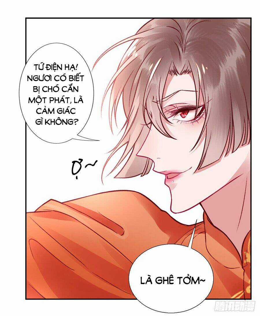 Hoàng Phi 9000 Tuổi - Chapter 27 - Trang 13